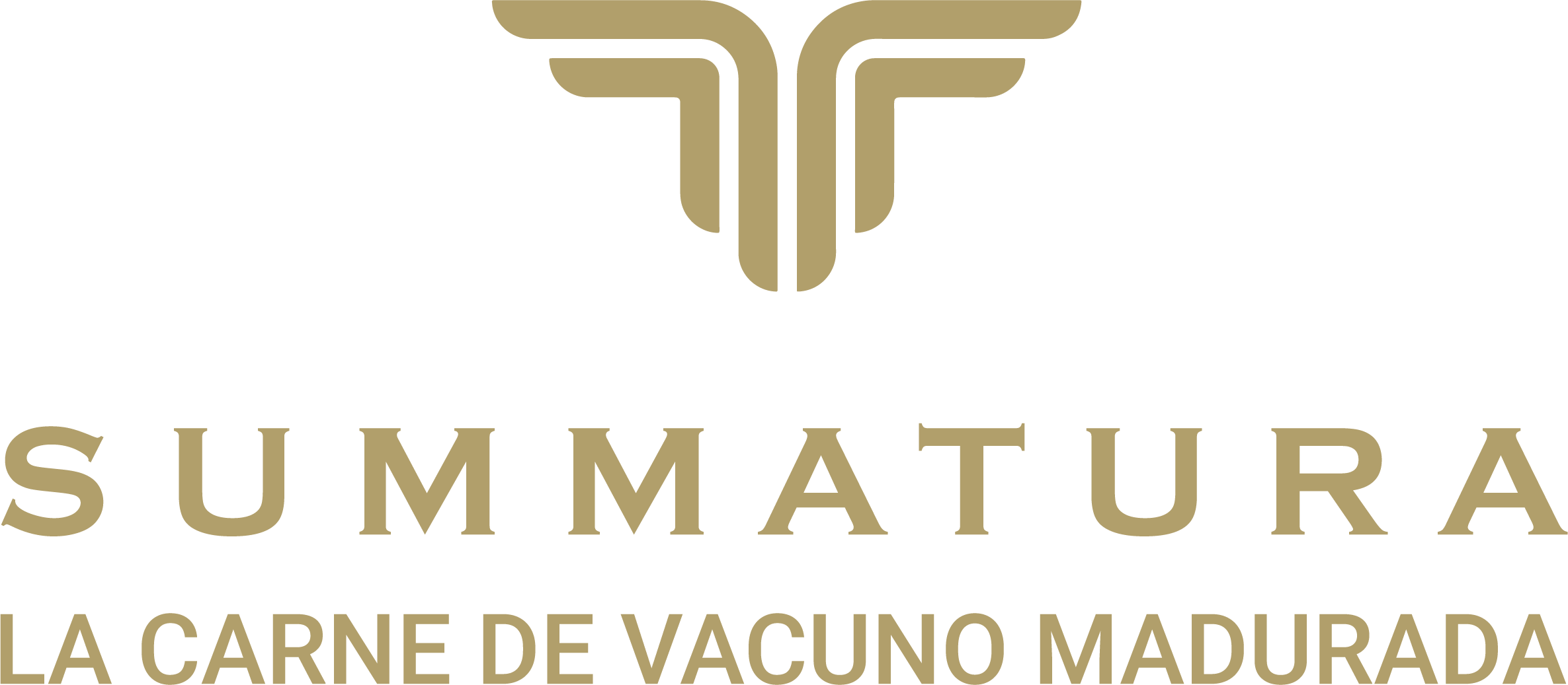 logo Summatura
