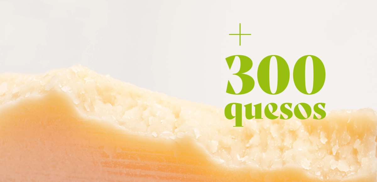 + 300 quesos