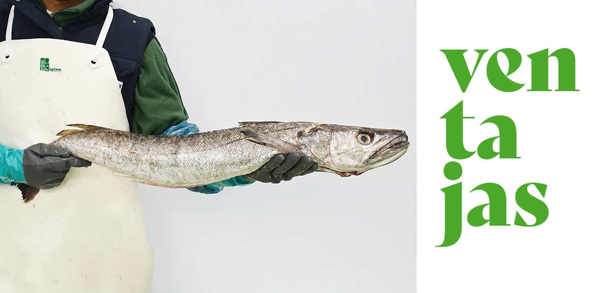 ventajas pescado