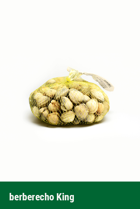 fondo berberecho king