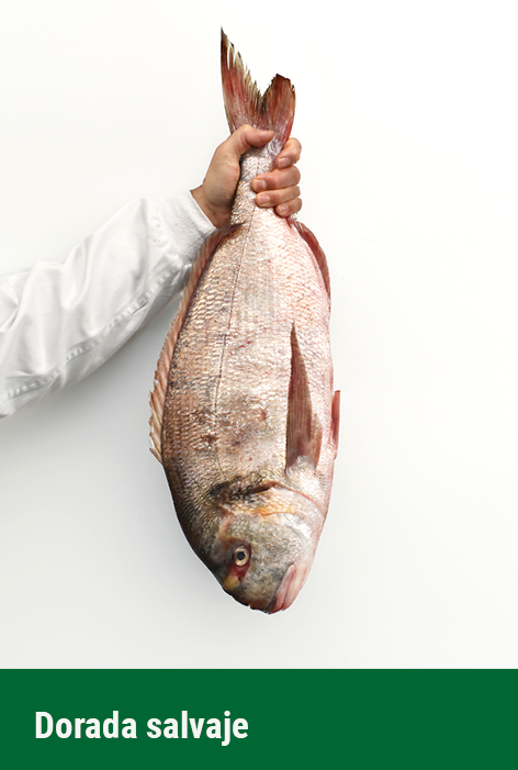 fondo dorada salvaje